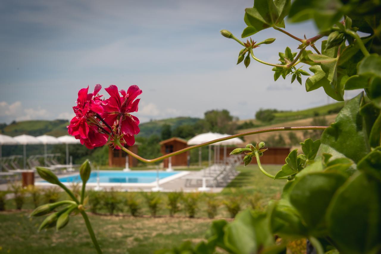 Agriturismo Ceriano Modigliana Exterior foto